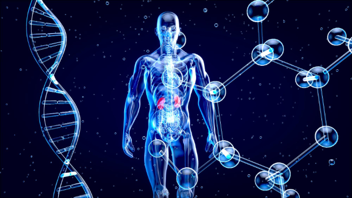Phase II renal study of a phosphate binder for chronic kidney disease patients