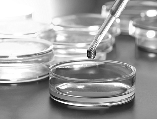 Infectious disease and immunology clinical research setting